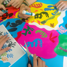 eikastika-gallika-1 eikastika-gallika-1