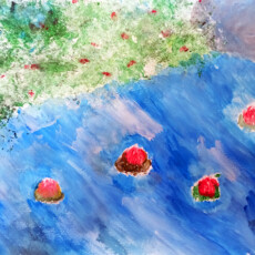 eikastika-gallika-6 eikastika-gallika-6