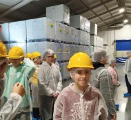 ekdromi-bianex-1 ekdromi-bianex-1