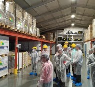 ekdromi-bianex-13 ekdromi-bianex-13