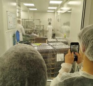 ekdromi-bianex-2 ekdromi-bianex-2