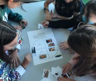 galliko-prwino-2 galliko-prwino-2