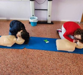 prwtes-boitheies-4 prwtes-boitheies-4