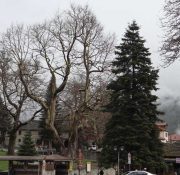 ekdromi-triimeri-ioannina-8 ekdromi-triimeri-ioannina-8